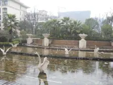 标准一房 采光好 简装可拎包入住