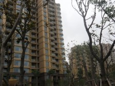 盛世宝邸(一期) 2室2厅 南