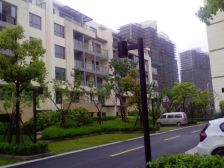 张江南辐射,16号新场站,复式住宅,四室