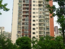 电梯房 无抵押,新上房源
