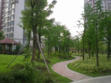 一楼送花园 沪亭北路烫金地段 新出房源