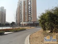 三林新达汇旁 毛坯 自由设计 带阁楼40平左右板式户型