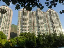 新上笋盘 兆丰刚上大平层 旁边徐家汇公园 空气好!