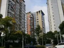 新上精装价值房 电梯中高区 位置佳 视野好 诚售可谈