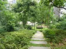 西区 金色池塘三房