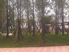 顶跃大平层,带一百平屋顶花园,视野开阔,一览众山小