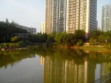 轻轨口,商圈旁,单价9000,你不来看看???