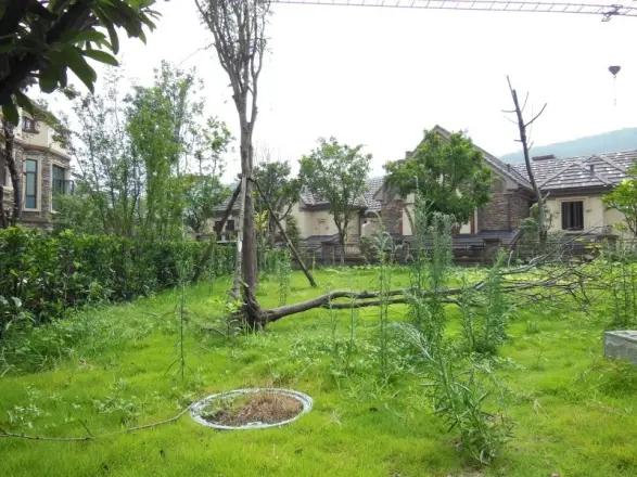 金科太阳海岸实景图