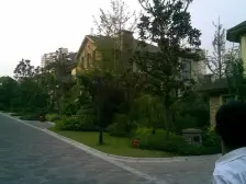 农业园区 常青藤三房780万