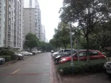 双一梯队品质小区,采光好,精装 无抵押 新上房源