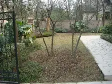 2+1独栋 带400平米花园 可停4个车位