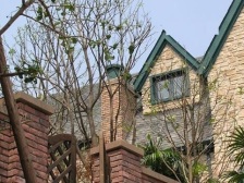 联排端户 花园大 住家精装修 地下室全采光 无房产税