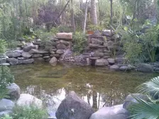 常青藤 人文别墅 200+花园