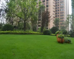 保利心语花园四期 3室2厅 西