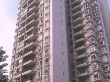 丰源丽景 7室1厅 东南