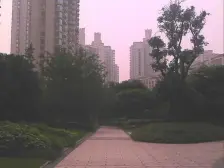 棕榈泉三期 3室2厅 西