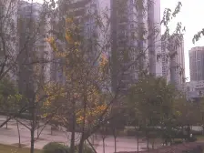 丰源丽景清水顶跃业主急售 产权清晰 出入方便 视野好