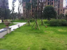 鸳鸯 复地新城就四房185万