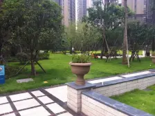 鸳鸯 复地新城就三房99万