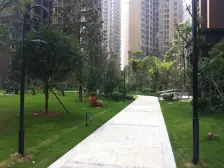 鸳鸯 复地新城就二房100万