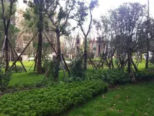 鸳鸯 复地新城就四房145万