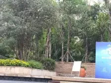 石马河 龙湖源著南区四房450万