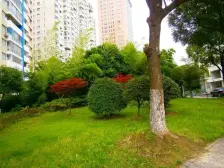 祥和名邸空中别墅,出门梅川路步行街