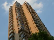 世博花园 1室1厅 南