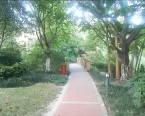 万科双水岸 3室2厅 东 南