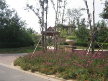 精装 一梯两户 双卧朝南 家具家电齐全