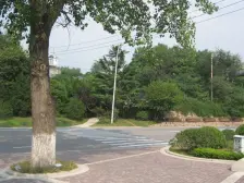 果岭一楼带60平院 带挑高地下室,纯毛坯,急售!