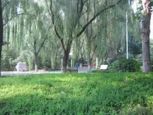 朝南临湖的双拼别墅!精装!看房时间才能