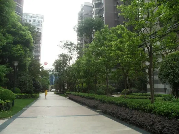 神仙树大院一期实景图