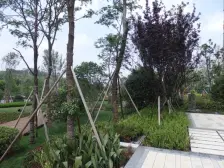 照母山光环旁顶跃精装洋房 业主诚心出售 配套完善