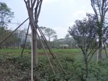 照母山 北大资源博雅一期一房95万