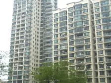 07年品质!南北通板楼!地下车库!各付价!交小!徐汇南模初!