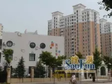 金色杉林全配2房出租,小区中心,户型正气,南北通透