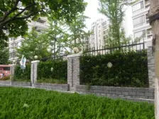 金禾新苑 1室1厅 南