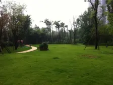 大竹林 龙湖江与城千山万树三房160万