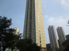 金广 好楼位 经典三室 好楼层