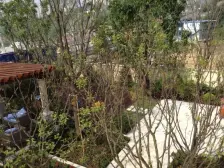 汽博装修耗资2000万的法式独栋别墅 ,9.9成新拎包即住