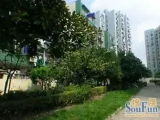 店长推荐双南户型,全明户型,房东诚意,电梯房,景观