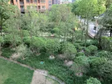 凉城·宝华城市花园·3室·2厅