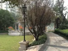 清水房,洋房顶跃,采光好,版式通透