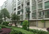 荷塘月色