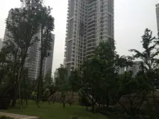 鸳鸯 融科海阔天空二期四房130万