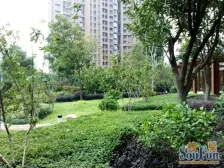 绿洲雅宾利花园一期2室南朝向910.00万元/套出售