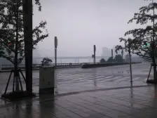 龙湖春森彼岸 4室2厅 南