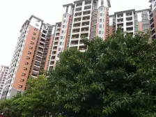 楼层适中 视野开阔 采光好 房子保养好 小区生活方便