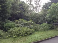 回兴 北岸明珠一房31.5万